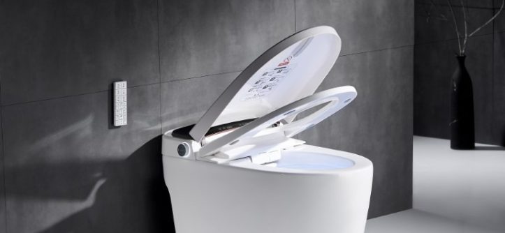Toaleta Japoneză, un sistem inteligent pentru igiena personală